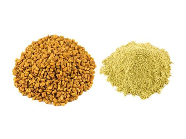 FENUGREEK POWDER