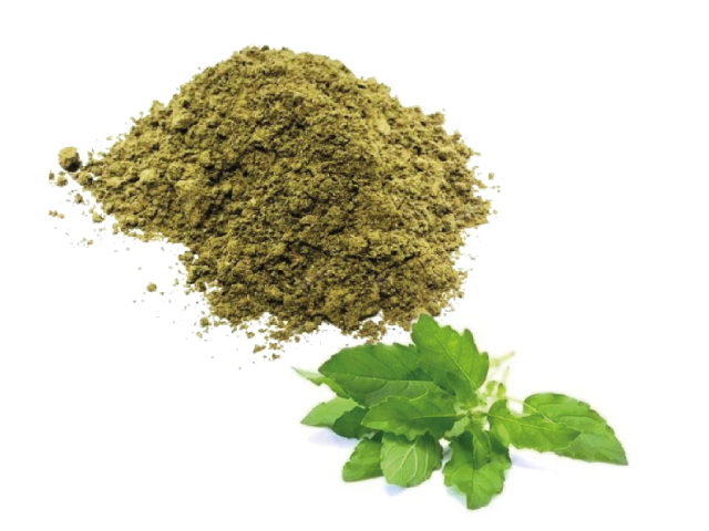 TULSI POWDER